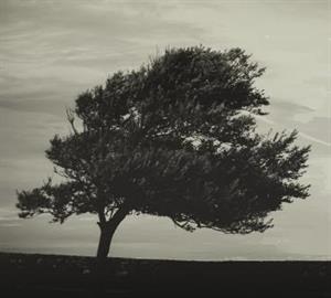 Photo 542952